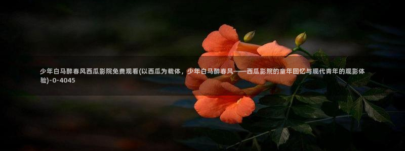 西瓜免费电影网