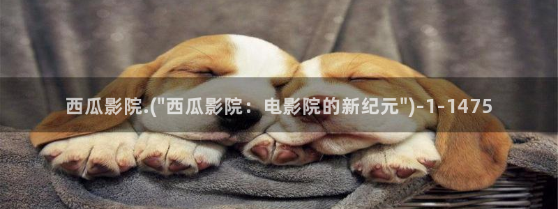 请下载西瓜视频