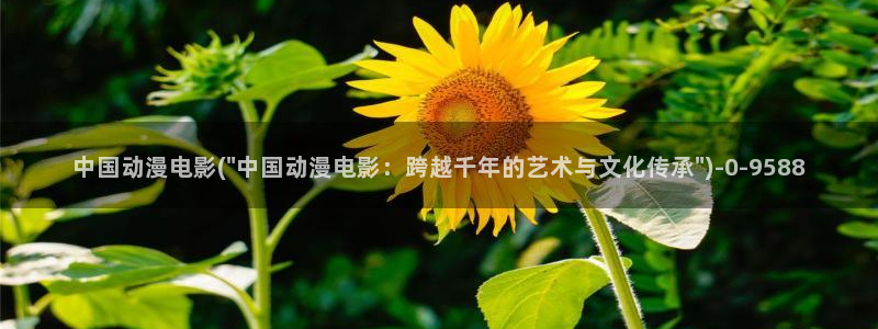 动漫同人