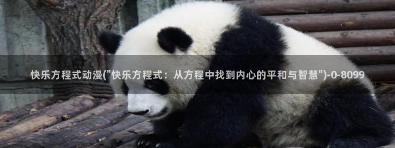 动漫解说