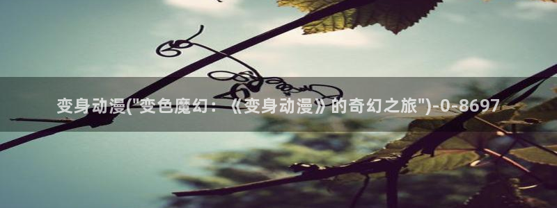 里番动漫在线观看