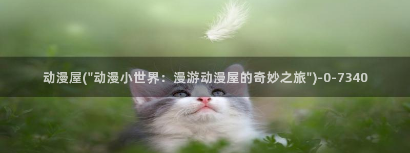 神墓动漫