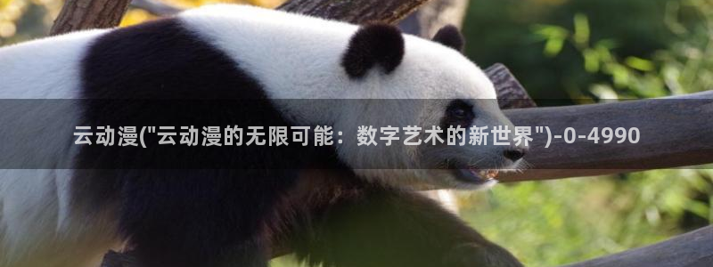 动漫国